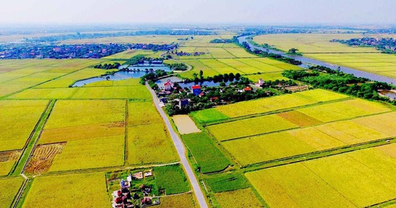 Nghệ An: Muốn chuyển đổi đất lúa, đất rừng dưới 2ha sang mục đích khác cần đáp ứng điều kiện gì?