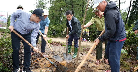 Thừa Thiên Huế: Trồng cây tôn tạo cảnh quan núi Kim Phụng