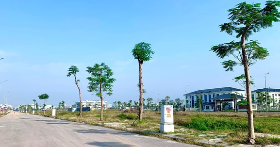 Bắc Giang: Chuẩn bị đấu giá hàng trăm lô đất