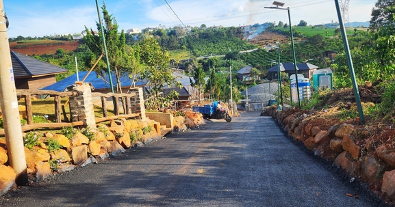 Lâm Đồng: Điều tra việc mở đường, xây dựng homestay trái phép