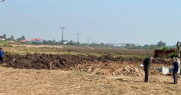 Tổng diện tích đất nông nghiệp của Hải Dương giảm hơn 624ha