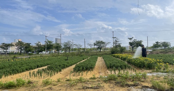 Quảng Nam: 2 dự án đầu tư đô thị tại TX. Điện Bàn được điều chỉnh tiến độ