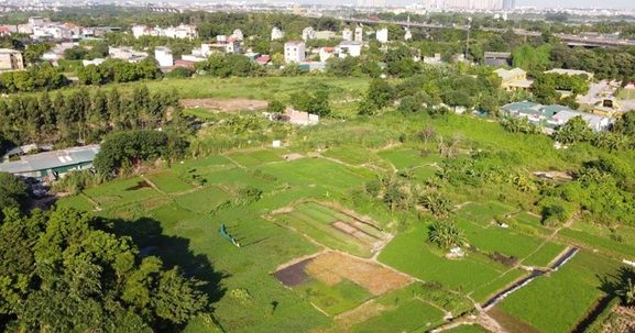 Nhiều băn khoăn về nghị định hướng dẫn thi hành Luật Đất đai