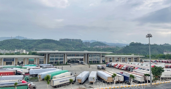 Lào Cai được xác định là 1 trong 6 cực tăng trưởng của vùng trong khu vực trung du và miền núi phía Bắc