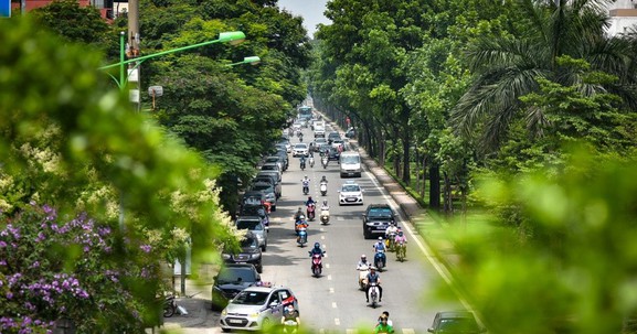 Tăng tỷ lệ đất cây xanh sử dụng công cộng và bảo tồn, phát huy giá trị văn hóa