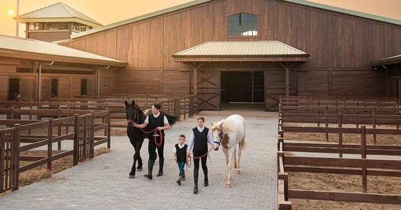 Du khách hào hứng khám phá bộ môn mã thuật tại Vinpearl Horse Academy Vũ Yên