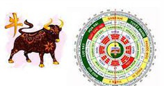 Giải đáp thắc mắc trong lựa chọn hướng cửa chính nhà chung cư hợp tuổi Quý Sửu 1973: Bí quyết của sự may mắn, thịnh vượng
