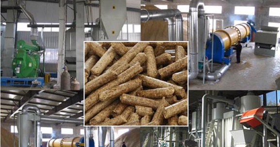 Quảng Trị: Đầu tư Nhà máy sản xuất viên nén năng lượng 186 tỷ