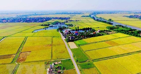 Từ 1/8, mở rộng hạn mức nhận chuyển quyền sử dụng đất nông nghiệp của cá nhân