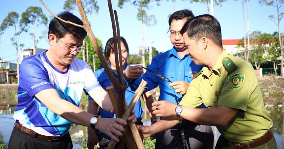 Hậu Giang: Trồng cây xanh hưởng ứng giải Marathon quốc tế Vietcombank Delta