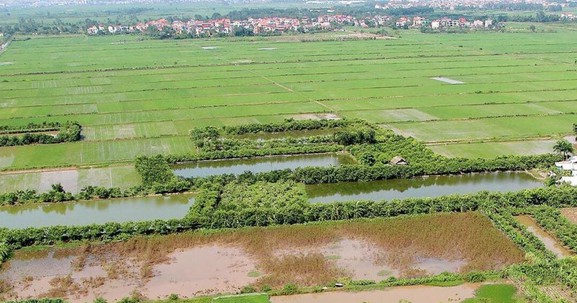 LS. Phạm Thanh Tuấn: Nhiều hoạt động khai thác đất nông nghiệp được "danh chính ngôn thuận"