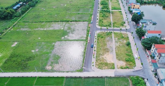 Khó xác định và xử lý hành vi đầu cơ, thổi giá trong các phiên đấu giá đất