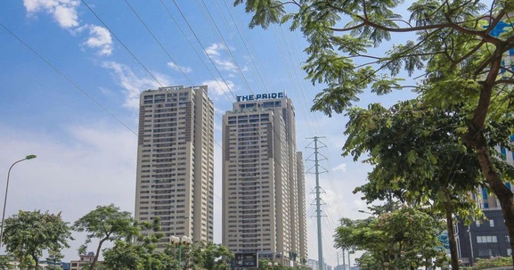 Hải Phát báo lãi hơn 31 tỷ đồng trong quý II/2024