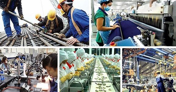 Quy chế tổ chức và hoạt động của Ban Chỉ đạo Đổi mới và Phát triển doanh nghiệp