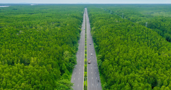 Con đường xuyên rừng 6 làn xe tại thành phố giàu nhất Việt Nam, là tuyến độc đạo kết nối với vùng biển Cần Giờ