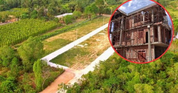 Kể từ nay, đáp ứng điều kiện này mới được phép chuyển đổi đất trồng cây lâu năm sang đất ở