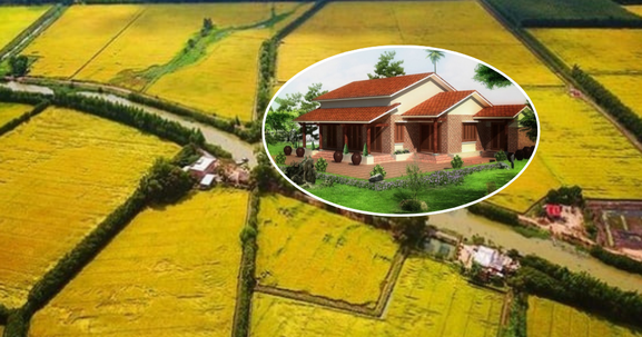 Kể từ nay, phải đáp ứng điều kiện này mới được chuyển đất trồng lúa sang đất ở nông thôn