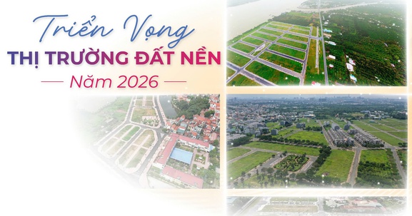 Toàn cảnh thị trường đất nền năm 2025: Kênh "đầu tư vua" rời tâm sóng, chờ lực đẩy mới năm 2026