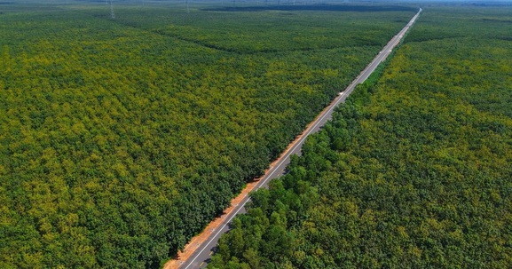 Vỡ tiến độ tuyến đường 2.300 tỷ đi xuyên rừng cao su ở miền Nam