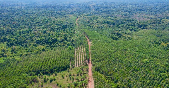 2 tỉnh lớn nhất Đông Nam Bộ sắp có đường kết nối xuyên rừng 76km, 'xoá sổ' bến đò ngang muốn qua sông phải kéo dây thừng