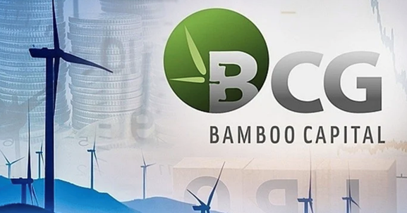 Chủ tịch BCG Land làm Chủ tịch HĐQT Bamboo Capital