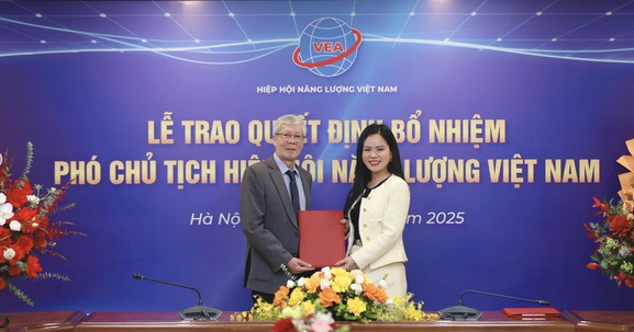 Lãnh đạo cấp cao T&T Group làm Phó Chủ tịch Hiệp hội Năng lượng Việt Nam