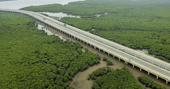 Cây cầu uốn lượn giữa rừng ngập mặn đẹp nhất miền Bắc, là cây cầu thứ 6 bắc qua 'vịnh Sydney của Việt Nam'