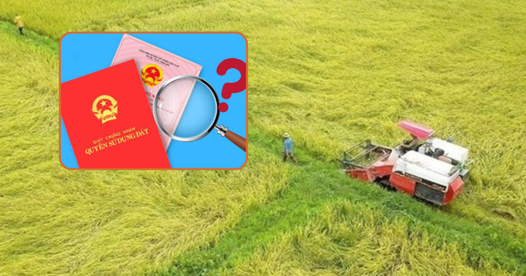 Kể từ nay, làm thủ tục chuyển đổi đất nông nghiệp không dồn điền cần chú ý điều gì?