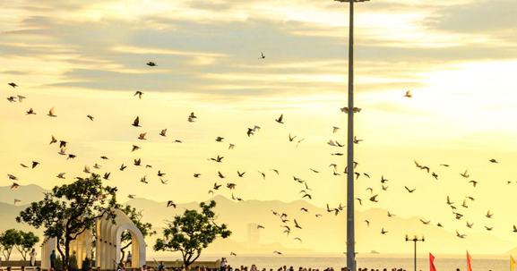 Bất động sản Nha Trang đón sóng di cư