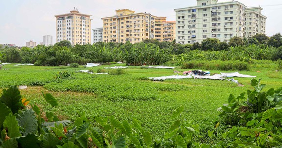 Hà Nội: Dự án Khu đô thị Trũng Kênh vẫn nằm "trên giấy" gần 2 thập kỷ