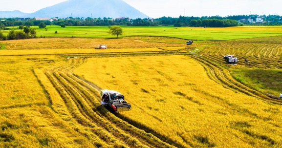 Nhà nước sẽ thu hồi đất nếu doanh nghiệp đạt thỏa thuận trên 75%?