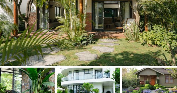 Những cây kiêng kỵ trồng trước nhà - giải mã dưới góc nhìn phong thủy