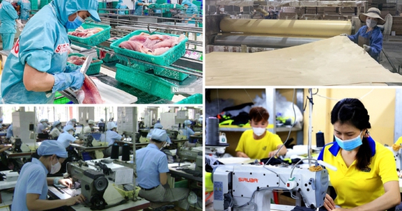 Chính sách ưu đãi thuế phát triển kinh tế tư nhân