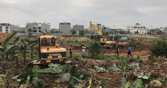 Hà Nội tăng mạnh mức thưởng bàn giao đất nông nghiệp, mở rộng hỗ trợ tái định cư