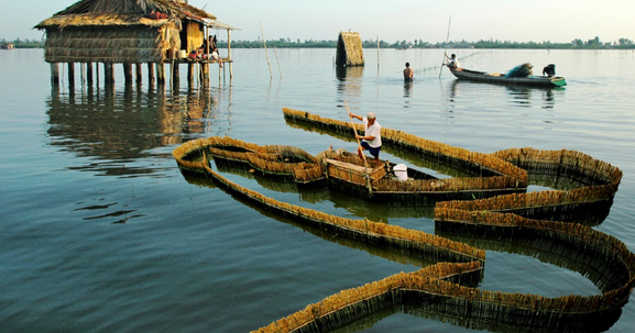 Việt Nam sẽ có khu du lịch sinh thái gần 2.000ha trải dài 4 xã tại khu vực đầm nước tự nhiên lớn nhất Đồng bằng sông Cửu Long