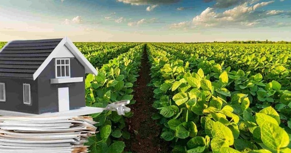 Từ nay, người dân được giảm tiền sử dụng đất khi chuyển đất nông nghiệp sang đất ở