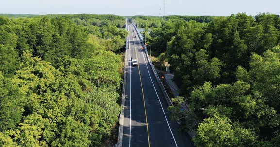 Vingroup nghiên cứu mở rộng tuyến đường đi xuyên rừng già, kết nối đến siêu đô thị lấn biển lớn bậc nhất cả nước