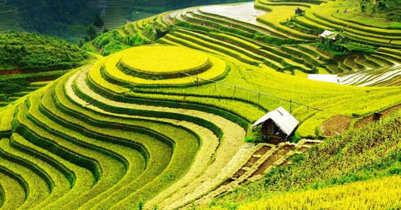 Việt Nam định vị một vùng kinh tế giữ vai trò kết nối Đông Nam Á với Trung Quốc, Trung Á và châu Âu