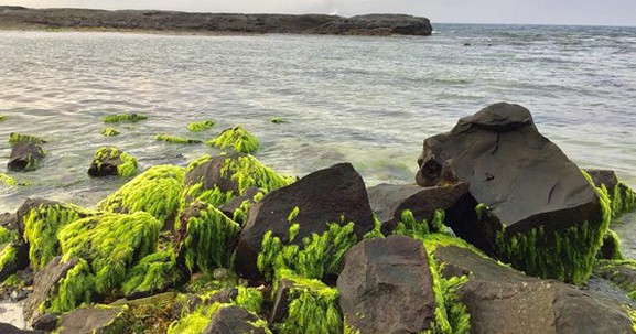 Quảng Ngãi: Mở rộng phạm vi công viên địa chất Lý Sơn - Sa Huỳnh đến 4.000km2