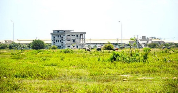 “Trái đắng” đất Bình Dương