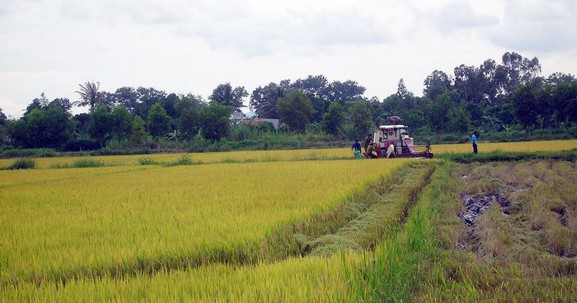 Đắk Lắk: Chuyển đổi mục đích sử dụng hơn 14ha đất trồng lúa