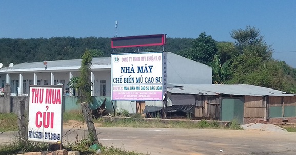 Kon Tum: Dân “kêu trời” vì nhà máy chế biến mủ cao su gây mùi hôi thối