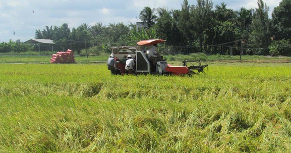 Long An: Thủ tướng đồng ý cho chuyển đổi 58 ha đất nông nghiệp