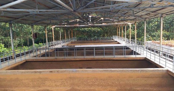 Kon Tum: 2 năm sống cạnh nhà máy nước sạch, dân vẫn phải dùng nước giếng