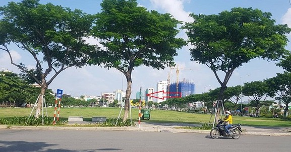 Đà Nẵng: Báo cáo Thủ tướng vụ trúng đấu giá 650 tỷ không được nhận đất