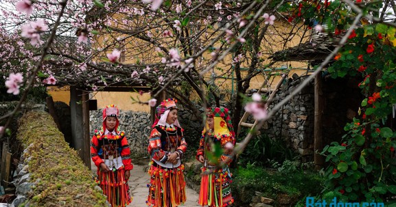 Trải nghiệm homestay ngắm hoa đào tháng Ba ở Lô Lô Chải