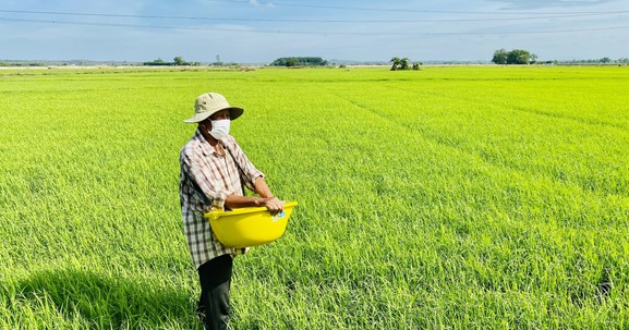 Giá đất ruộng hiện nay bao nhiêu? [cập nhật 2023]