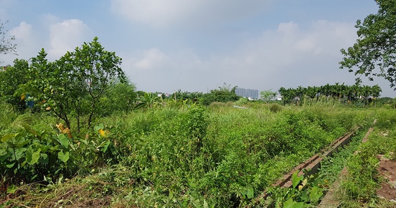 Hoàn thiện Thông tư hướng dẫn lập, điều chỉnh quy hoạch, kế hoạch sử dụng đất
