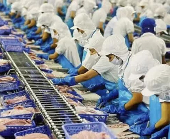 Việt Nam’s economy poised for 6% growth in 2024, fueled by export recovery: AMRO