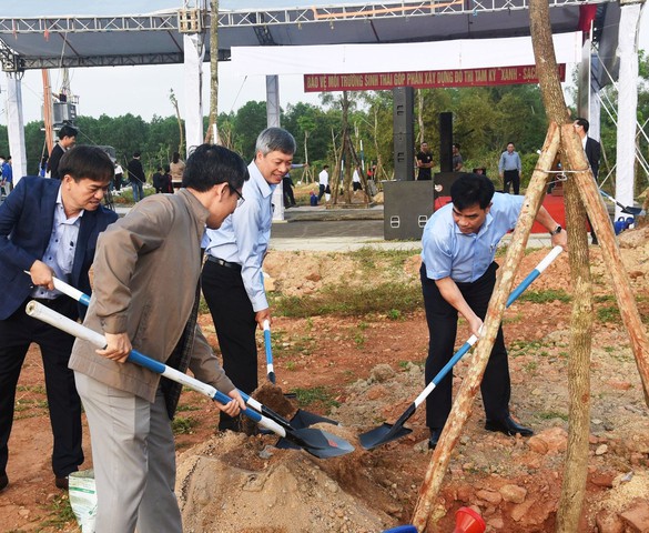 Miền Trung: Nhiều địa phương ra quân "Tết trồng cây, đời đời nhớ ơn Bác Hồ"